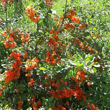 сергія ゲストハウス