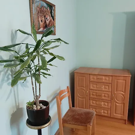 сергія * シンヤク