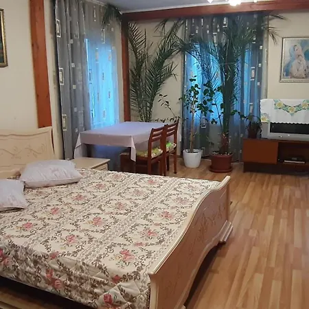 сергія シンヤク